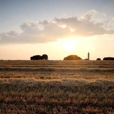 Atardecer en La Alcarria